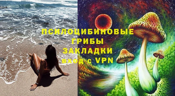 тгк Абаза